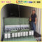 Máquina do bloco de 316 fabricantes de gelo de aço inoxidável do bloco/gelo seco com sistema do guindaste